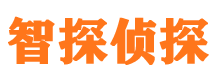 复兴寻人公司